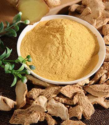 dehydrated-ginger-powder-flakes
