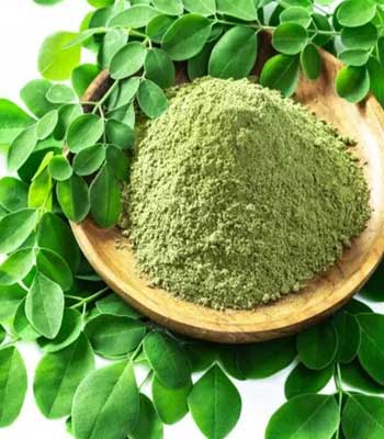 dried-fenugreek-leaves-powder